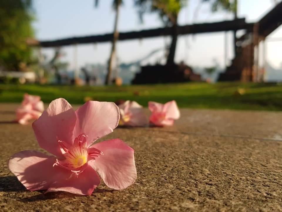 Ambadi Villas Kochi מראה חיצוני תמונה